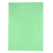 Felt Square Polyester 30 x 22cm - Mint