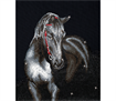 Diamond Dotz Midnight Stallion
