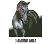 Diamond Dotz Midnight Stallion