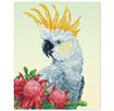 DIAMOND DOTZ - White Cockatoo And Waratahs 51 x 41cm