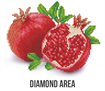 Good Fortune Pomegranites 