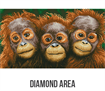 Diamond Dotz Oranging Around 