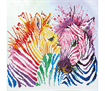 Diamond Dotz Rainbow Zebras
