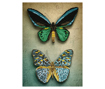 DIAMOND DOTZ - Antique Butterflies - 51.50 x 37.00cm