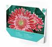 DIAMOND DOTZ - Pink Gerberas - 50 x 40 cm (white frame incl in kit)