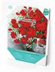 Diamond Dotz Squares - Classic Arrangement - 31 x 41 cm (white frame incl in kit)