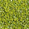 DIAMOND DOTZ - Freestyle 12g x 2.8mm Dotz bright green ab
