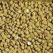 DIAMOND DOTZ - Freestyle 12g x 2.8mm Dotz light khaki