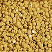 DIAMOND DOTZ - Freestyle 12g x 2.8mm Dotz gold