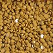 DIAMOND DOTZ - Freestyle 12g x 2.8mm Dotz deep gold