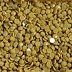 DIAMOND DOTZ - Freestyle 12g x 2.8mm Dotz light bronze