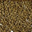 DIAMOND DOTZ - Freestyle 12g x 2.8mm Dotz dark khaki
