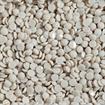 DIAMOND DOTZ - Freestyle 12g x 2.8mm Dotz ivory