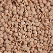 DIAMOND DOTZ - Freestyle 12g x 2.8mm Dotz sand