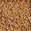 DIAMOND DOTZ - Freestyle 12g x 2.8mm Dotz golden ginger