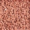DIAMOND DOTZ - Freestyle 12g x 2.8mm Dotz mole pink