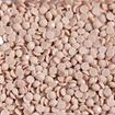 DIAMOND DOTZ - Freestyle 12g x 2.8mm Dotz light latte
