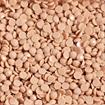 DIAMOND DOTZ - Freestyle 12g x 2.8mm Dotz medium latte