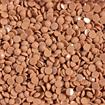 DIAMOND DOTZ - Freestyle 12g x 2.8mm Dotz latte
