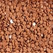 DIAMOND DOTZ - Freestyle 12g x 2.8mm Dotz dark latte