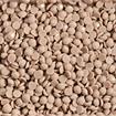 DIAMOND DOTZ - Freestyle 12g x 2.8mm Dotz light clay