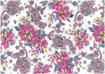 Cotton Sheeting Printed - Raspberry Paisley