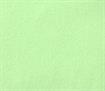 Minky - Fleece - Lime