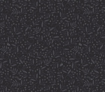 Little Critters - Black