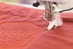 BERNINA 770QE PRO - Sewing and Quilting Machine