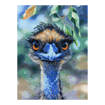 Natalie Jane Parker Counted Cross Stitch Kit 30 x 40cm - Bird's Eye View Emu