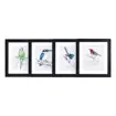 Natalie Jane Parker Counted Cross Stitch Kit 21 x 29.5cm - Budgerigar