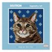 Tapestry Kit 15 x 15cm - Tubby