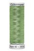 GUTERMANN  - Thread Rayon 40 200M Sulky Machine Embroidery - 1100