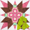 Matilda's Own Template - Prairie Star Set of 5 - 12in