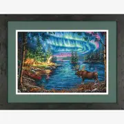 Dimensions Needlecraft - Northern Night