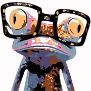 COLOURME - Paint By Numbers 20Cm X 20Cm - hipstar frog
