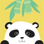 COLOURME - Paint By Numbers 20Cm X 20Cm - panda