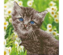 Diamond Art -  Kitten - 30 x 30 cm