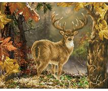 DIAMOND DOTZ - Prince Of The Forest - 42.00 x 52.00cm