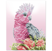 DIAMOND DOTZ - Pink Galah And Banksia 51 x 41cm