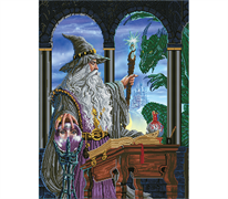 DIAMOND DOTZ - Wizards Emissary - 62 x 82cm (24.4 x 32.2 in)