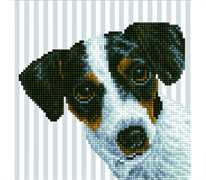 Diamond Dotz Me?? 24 x 23cm (8x 9in)