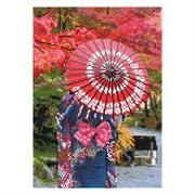 Diamond Dotz Autumn Elegance 45 x 32cm