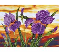 Diamond Dotz Iris Sunset - 52 x 37cm (20.5 x 14.6in)