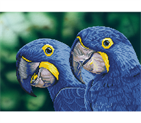 Diamond Dotz Blue Hyacinth Macaws - 52 x 37cm (20.5 x 14.6in)