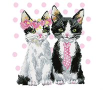 DIAMOND DOTZ - Mr And  Mrs Pink - 50 x 55 cm (19.7  x 21.7 )