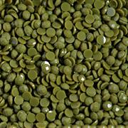 DIAMOND DOTZ - Freestyle 12 G (0.42Oz) X 2.8Mm Dotz - dark may green