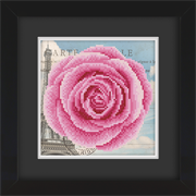 Frame with Framing Mat Board DDF18.215X215