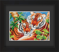 Frame with Framing Mat Board DDF11.515X370