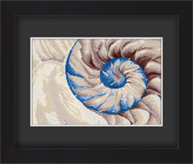 Frame with Framing Mat Board DDF11.515X340